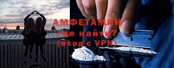 шишки Ельня