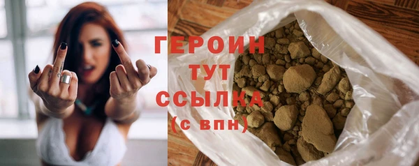 шишки Ельня