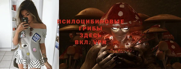 шишки Ельня