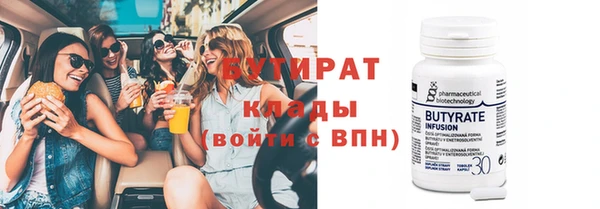 шишки Ельня