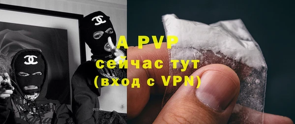 шишки Ельня