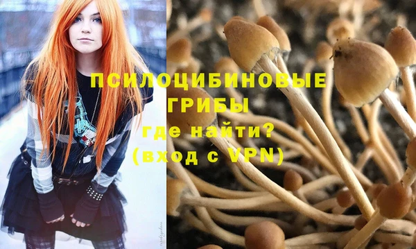 мескалин Елабуга