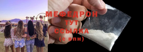 шишки Ельня