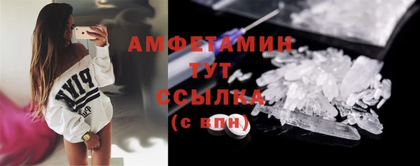 шишки Ельня