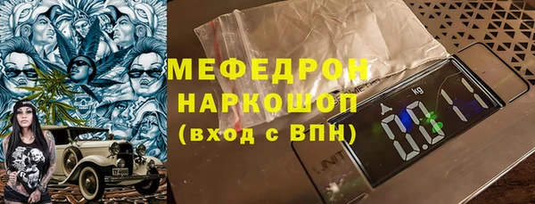 шишки Ельня
