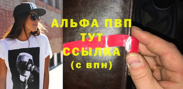 шишки Ельня
