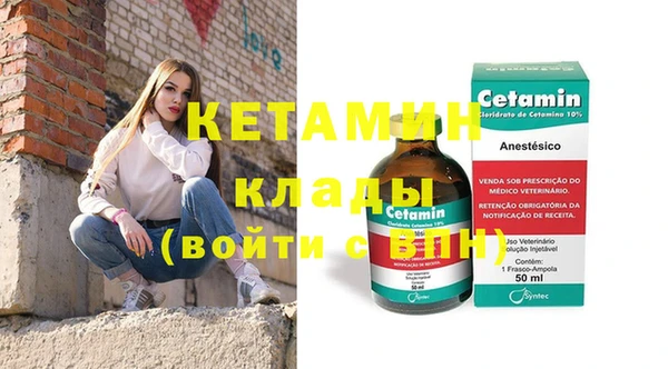 шишки Ельня
