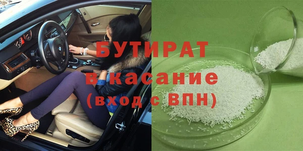 шишки Ельня