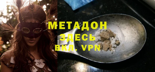 шишки Ельня