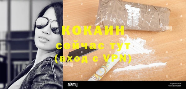 шишки Ельня