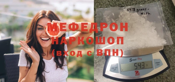 шишки Ельня