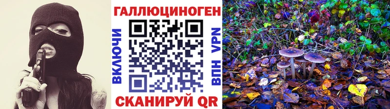 Псилоцибиновые грибы прущие грибы  цена   Западная Двина 