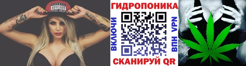 Бошки марихуана ГИДРОПОН  Западная Двина 